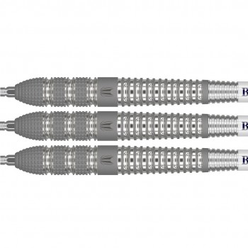 Raymond v Barneveld Barney 25 95% Swiss 25g Steeltip
