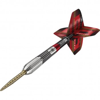 Stephen Bunting G5 95% Swiss 22g Steeltip