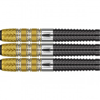 Raymond van Barneveld RVB95 G4 95% 18 gram Softtip