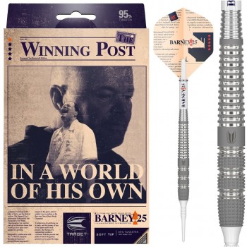Raymond van Barneveld Barney 25 95% 20g Softtip