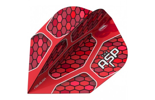 Vision Ultra Player Std.6 Nathan Aspinall (Preview 2)