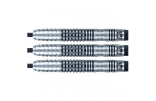 Michael Rasztovits 90% 21 gram Steeltip (Preview 2)