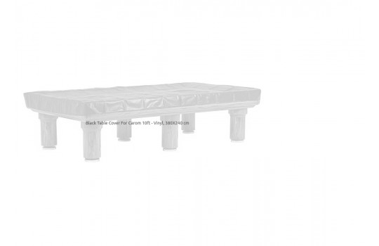 Vinyl 10ft 380x240cm - Carom