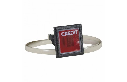 Credit Display Button
