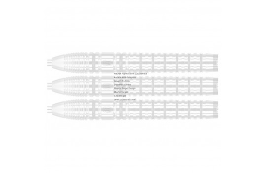 Nathan Aspinall 80% 22g Steeltip