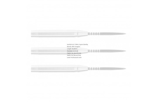 Profi Line 90% Tungsten PL-01 21g (Preview 2)