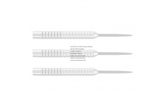 Profi Line 80% Tungsten PL-04 23g