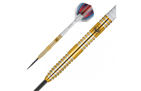Daryl Gurney Steel tip 23g (Preview 2)