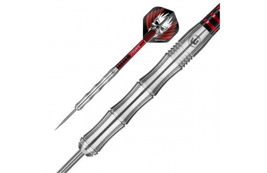 Mervyn King Silver Color Steel tip 26g (Preview 2)