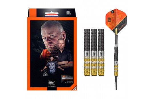 Raymond van Barneveld RVB95 G4 95% 18 gram Softtip