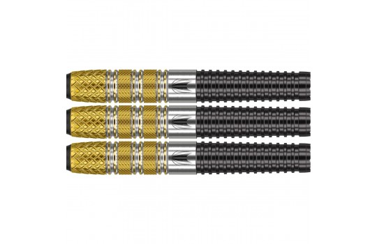 Raymond van Barneveld RVB95 G4 95% 20 gram Softtip (Preview 2)