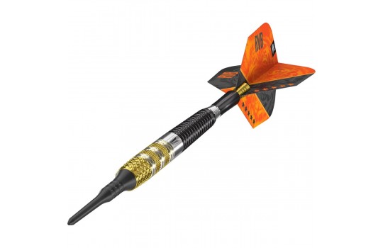 Raymond van Barneveld RVB95 G4 95% 20 gram Softtip (Preview 3)