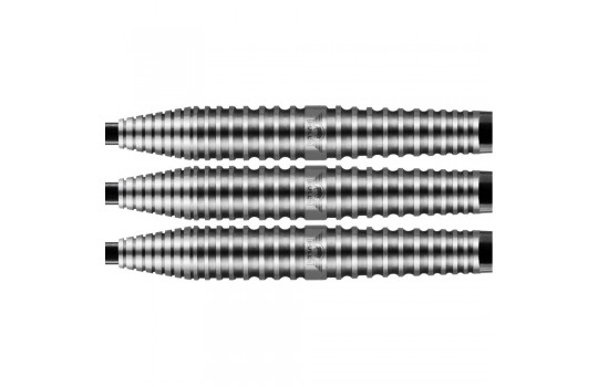 Max Hopp 90% Edition 4 22g Steeltip