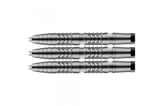 Martijn Kleermaker 80% 23g Steeltip