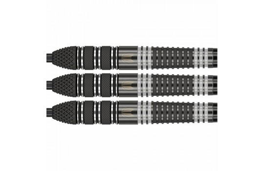Raymond van Barneveld Echo 95% Swiss 21g Steeltip
