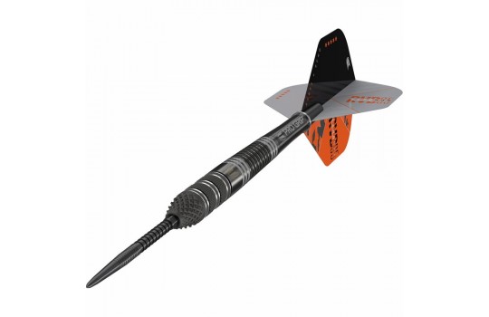 Raymond van Barneveld Echo 95% Swiss 21g Steeltip
