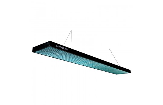 Compact Nautilus 12ft