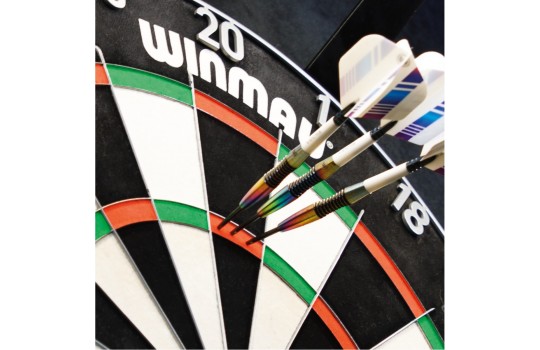 Winmau Polaris Dartboard Light