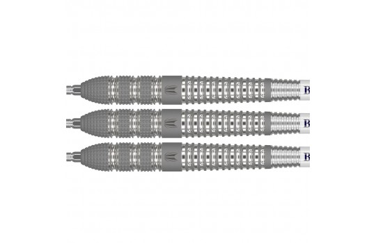 Raymond v Barneveld Barney 25 95% Swiss 21g Steeltip