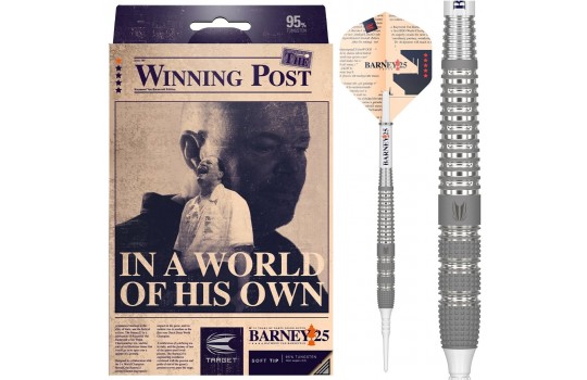 Raymond van Barneveld Barney 25 95% 20g Softtip