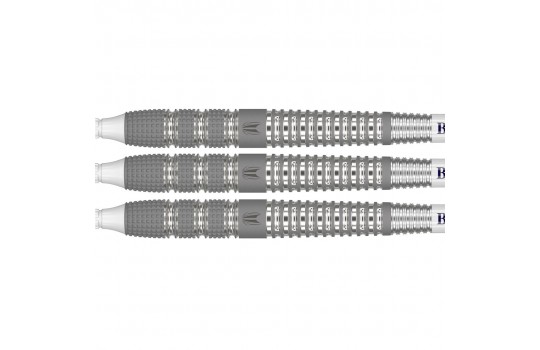 Raymond van Barneveld Barney 25 95% 20g Softtip