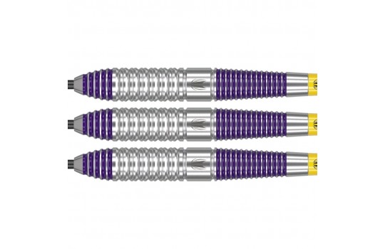 Luke Littler Brass 22 gram Steeltip