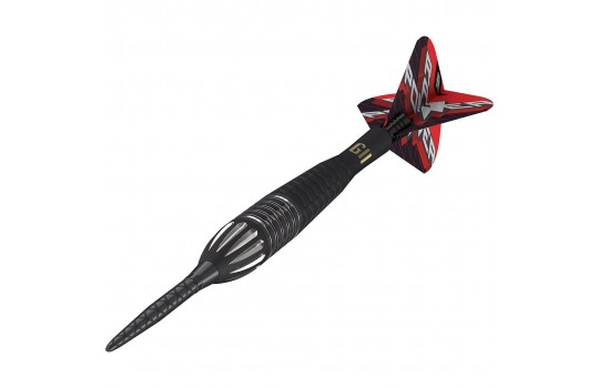 Phil Taylor Raw Power G11 95% 22g Swiss Steeltip