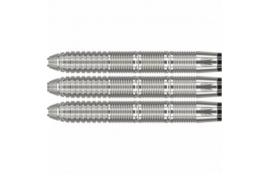 Kevin Doets 90% 23g Swiss Steeltip