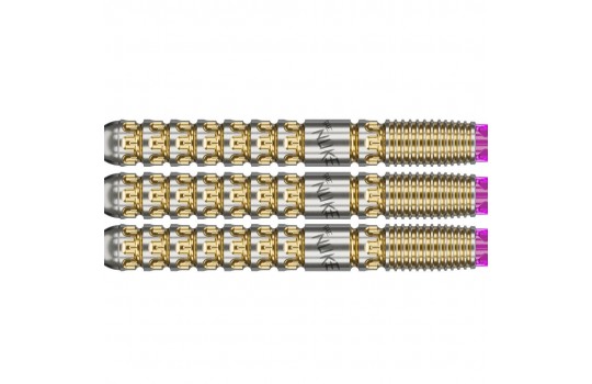 Luke Littler G1 Prodigy 95% 23g Swiss Steeltip