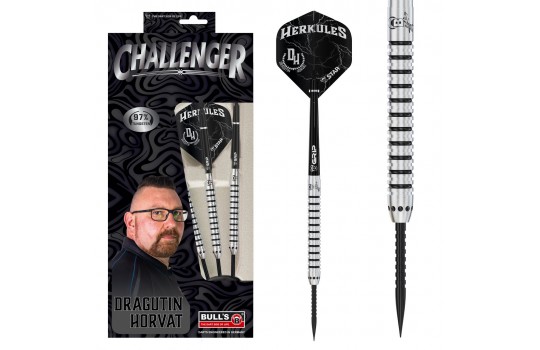 BULL'S Challenger Steeldart D.Horvat
