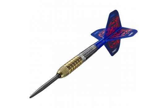 Raymond van Barneveld G6 95% Swiss 25g Steeltip (Preview 2)