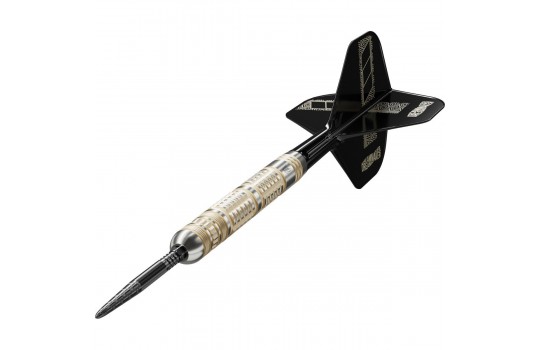 Dimitri van den Bergh 95K 95% Swiss 23g Steeltip (Preview 2)