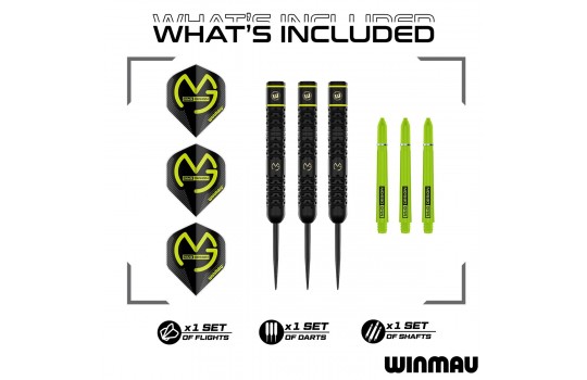 MvG Michael van Gerwen Steel tip 21g (Preview 2)