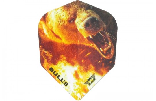 POWERFLITE D Bear (Preview 1)