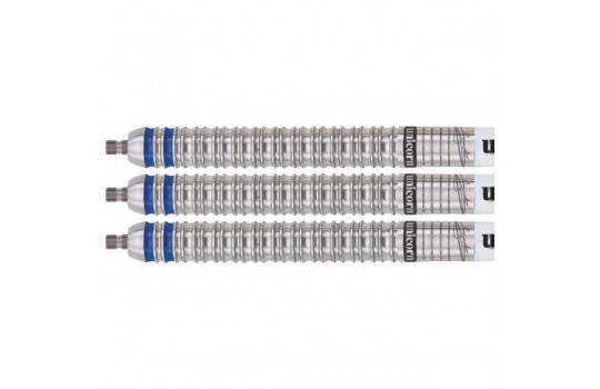 Phase 3 90% - GARY ANDERSON 25G - Deluxe (Preview 1)