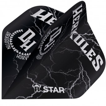 BULL'S B-Star Flights Martin Schindler TW80
