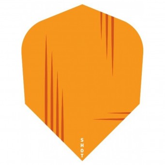 Ronin Rei Flight Std.6 Flight