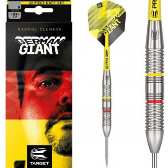 Dimitri Van den Bergh 90% G1 Swiss 21g Steeltip
