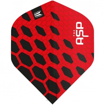 Vision Ultra Player Phil Taylor Power G9 Kite