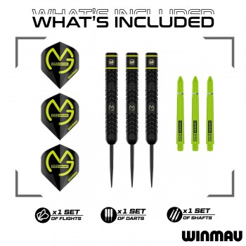 MvG Michael van Gerwen Steel tip 21g (2)