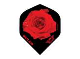 POWERFLITE D Red Rose Black (Thumb 1)