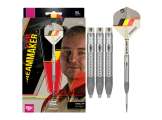 Dimitri Van den Bergh 90% G1 Swiss 23g Steeltip