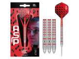 Nathan Aspinall 80% 24g Steeltip