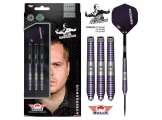 Aubergenius 80% 24g Steeltip (Thumb 1)