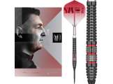 Nathan Aspinall 95K 95% SP 24g Steeltip (Thumb 1)