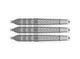 Raymond v Barneveld Barney 25 95% Swiss 23g Steeltip