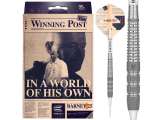 Raymond van Barneveld Barney 25 95% 20g Softtip