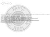 Cue Tip Kamui Medium ø 14 - Laminated - Original