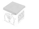 Silver Cup Plum 12 Pcs