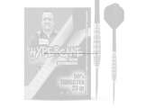 Hypercane by Zoran Lerchbacher 90% Tungsten 23gr Steel Tip